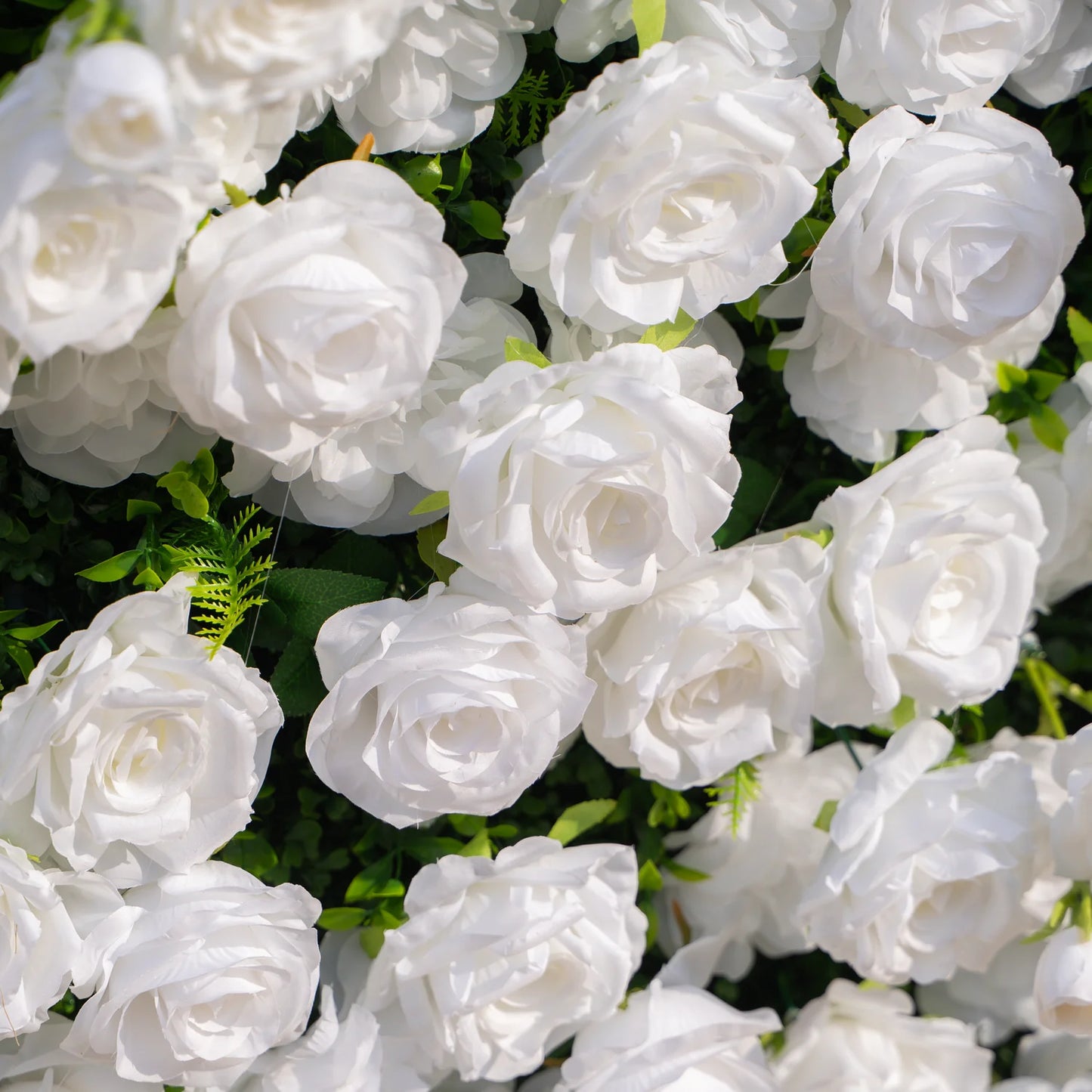 Luxury White Rose Flower Wall Rental | 8’ x 10’ 3D Backdrop